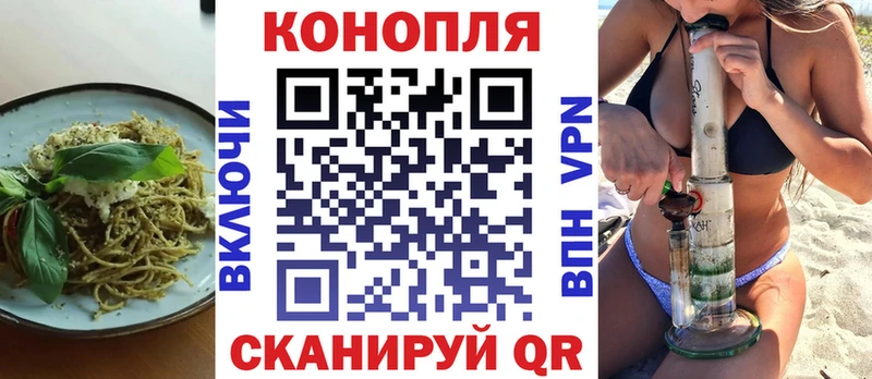 Canna-Cookies марихуана  купить   Ахтубинск 