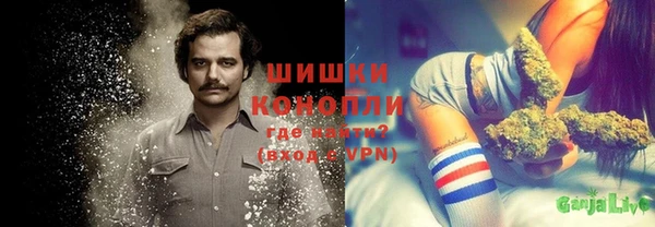 apvp Арсеньев