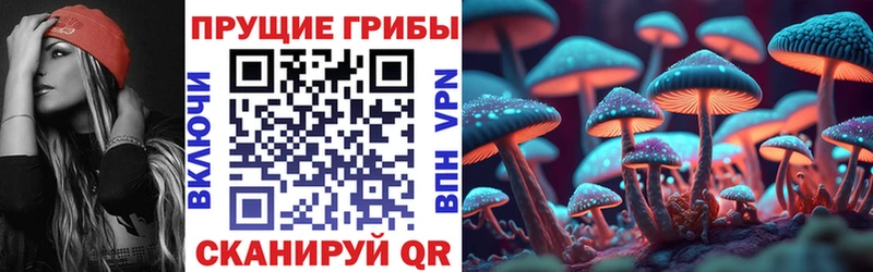 магазин продажи наркотиков  Ахтубинск  Псилоцибиновые грибы Psilocybe 